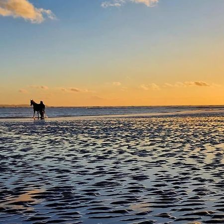 Petit Prince Berck Buitenkant foto