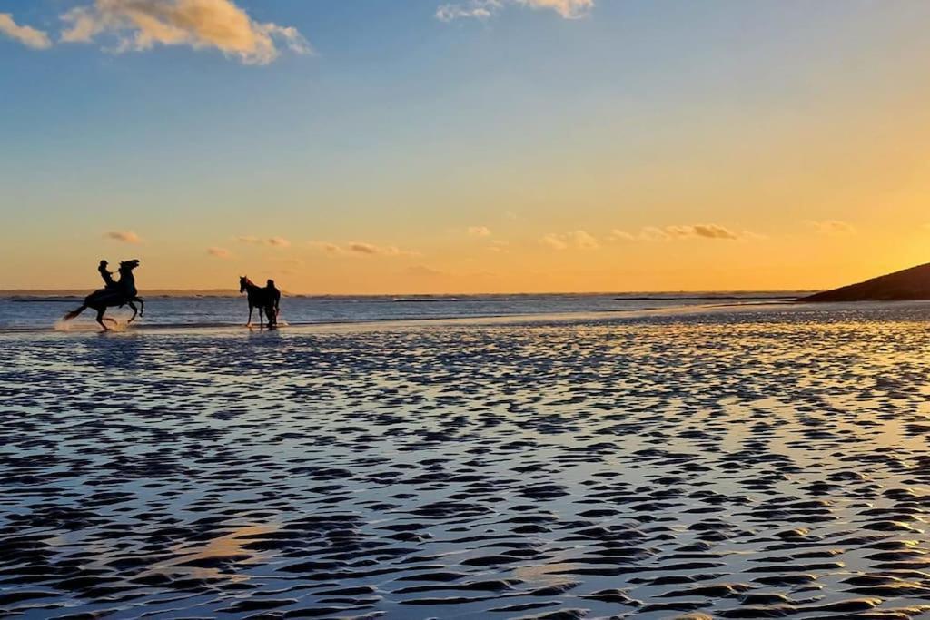 Petit Prince Berck Buitenkant foto