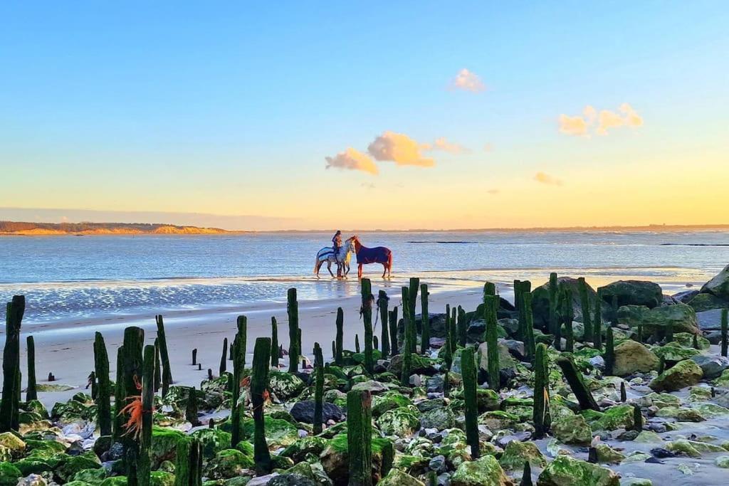 Petit Prince Berck Buitenkant foto